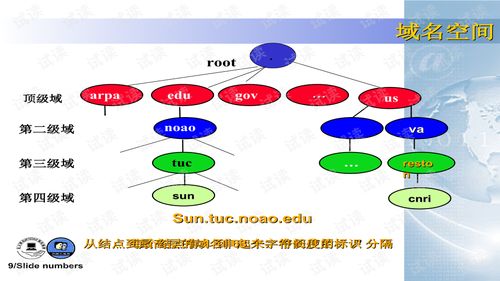 新手網絡工程師指南 深入了解計算機網絡應用層協議與應用