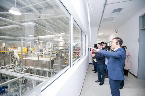 中國循環經濟協會應邀出席盈創匯智食品級再生聚酯切片工廠開工慶典